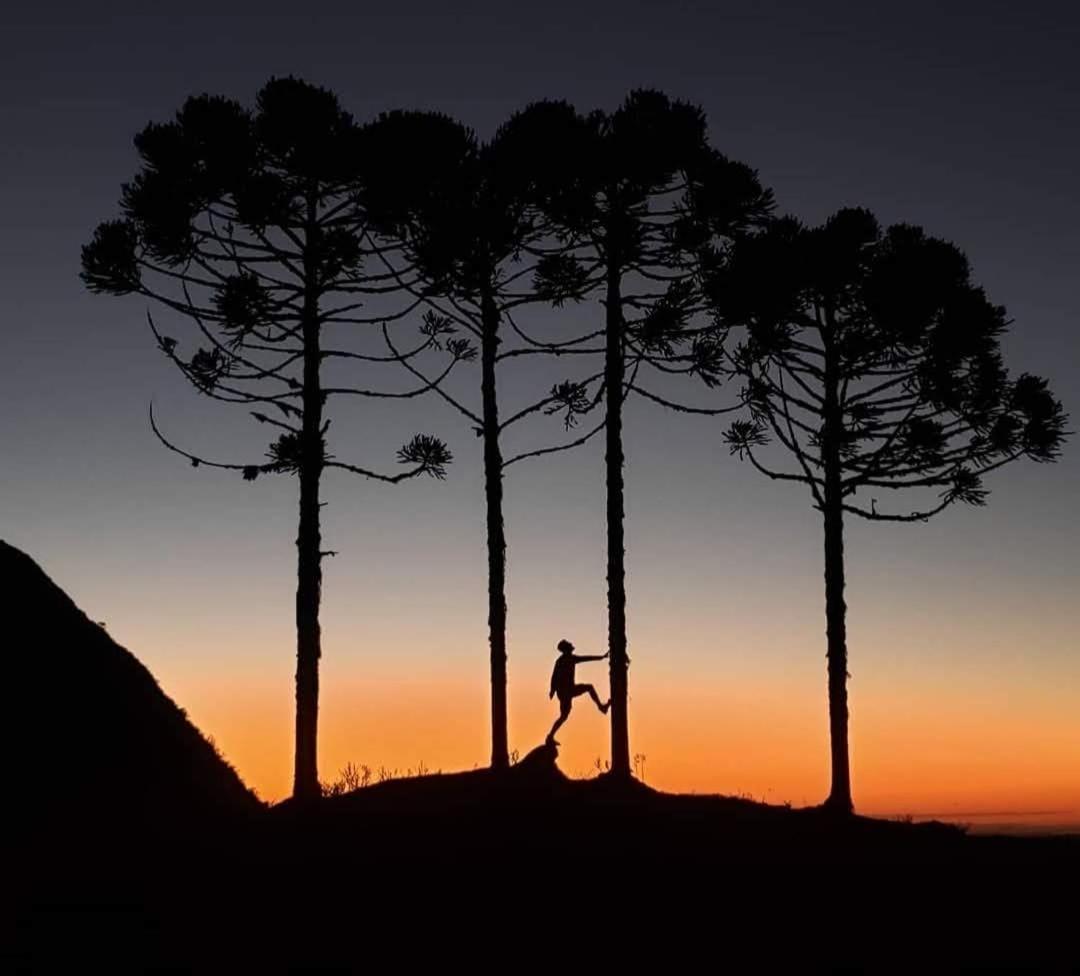Refugio Da Montanha Brasil Villa อัลเฟรโด วากเนอร์ ภายนอก รูปภาพ