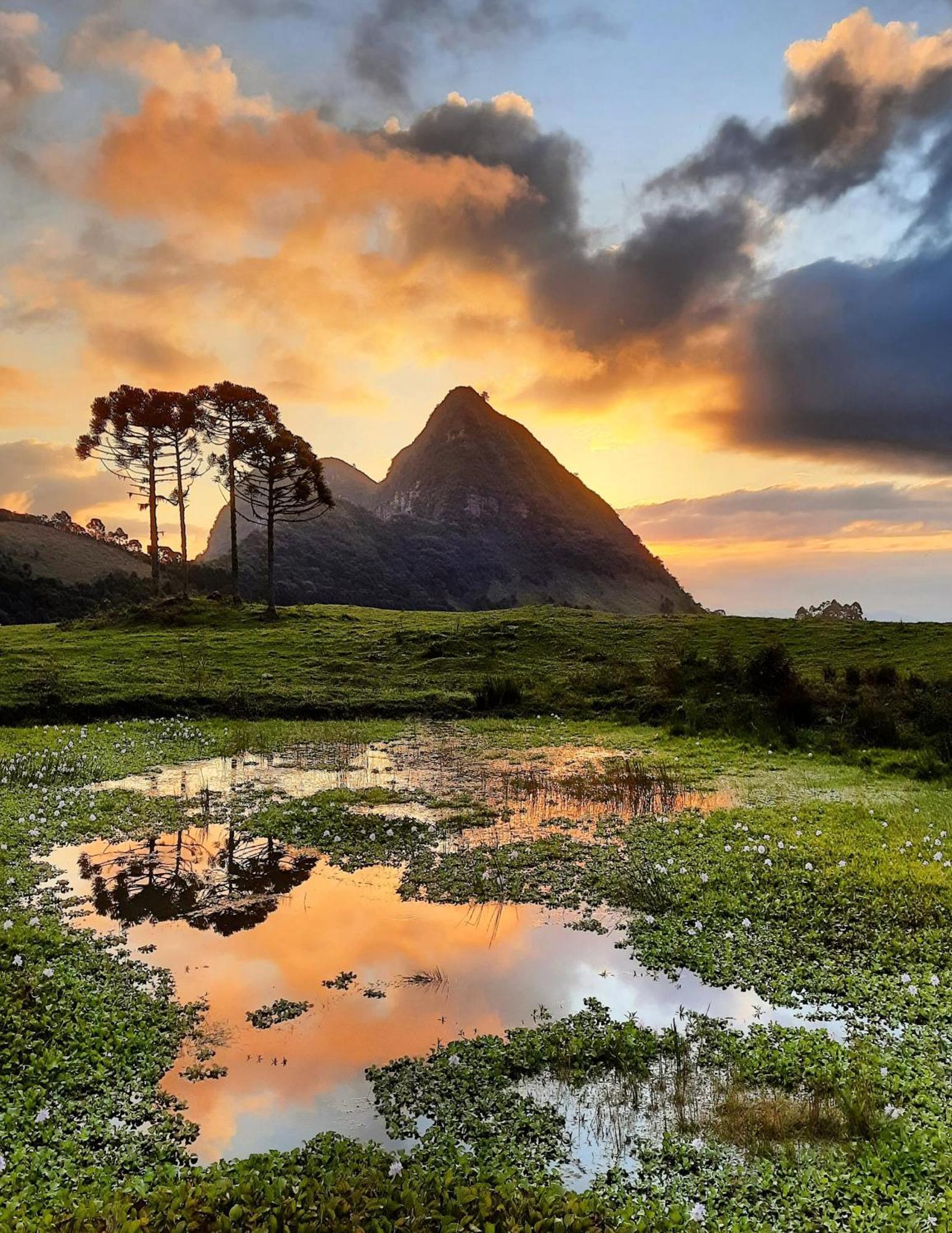 Refugio Da Montanha Brasil Villa อัลเฟรโด วากเนอร์ ภายนอก รูปภาพ