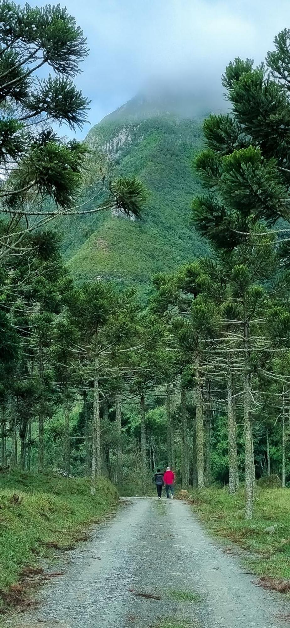 Refugio Da Montanha Brasil Villa อัลเฟรโด วากเนอร์ ภายนอก รูปภาพ